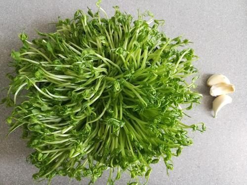 这菜是天然青霉素,是蔬菜也是“药”,隔三差五吃,止咳嗽防感冒