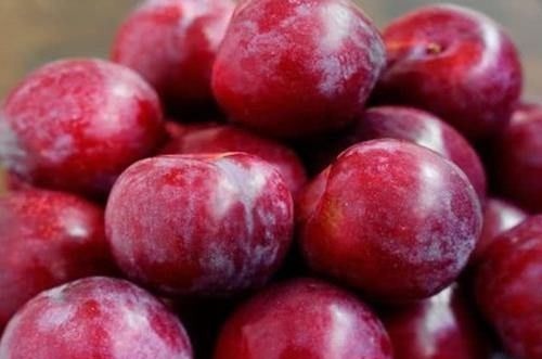 明目|肝不好的人,早晚常吃这“4物”,排毒明目,肝脏可能越来越干净