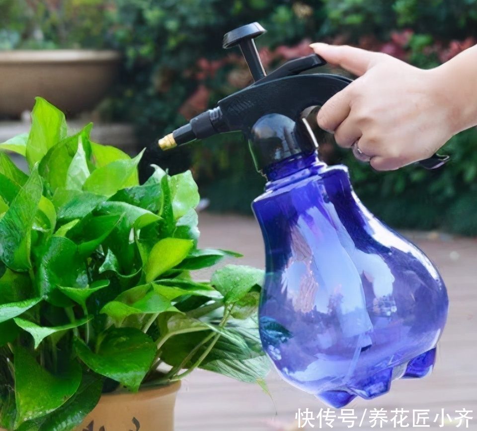 家里养花，土可以不买，但这“三样”一定要准备着，养好全靠它们