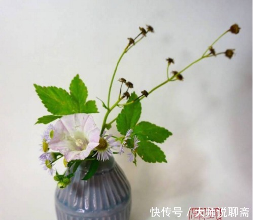 一段话|受益终生的一段话,见解独到,引人深思!