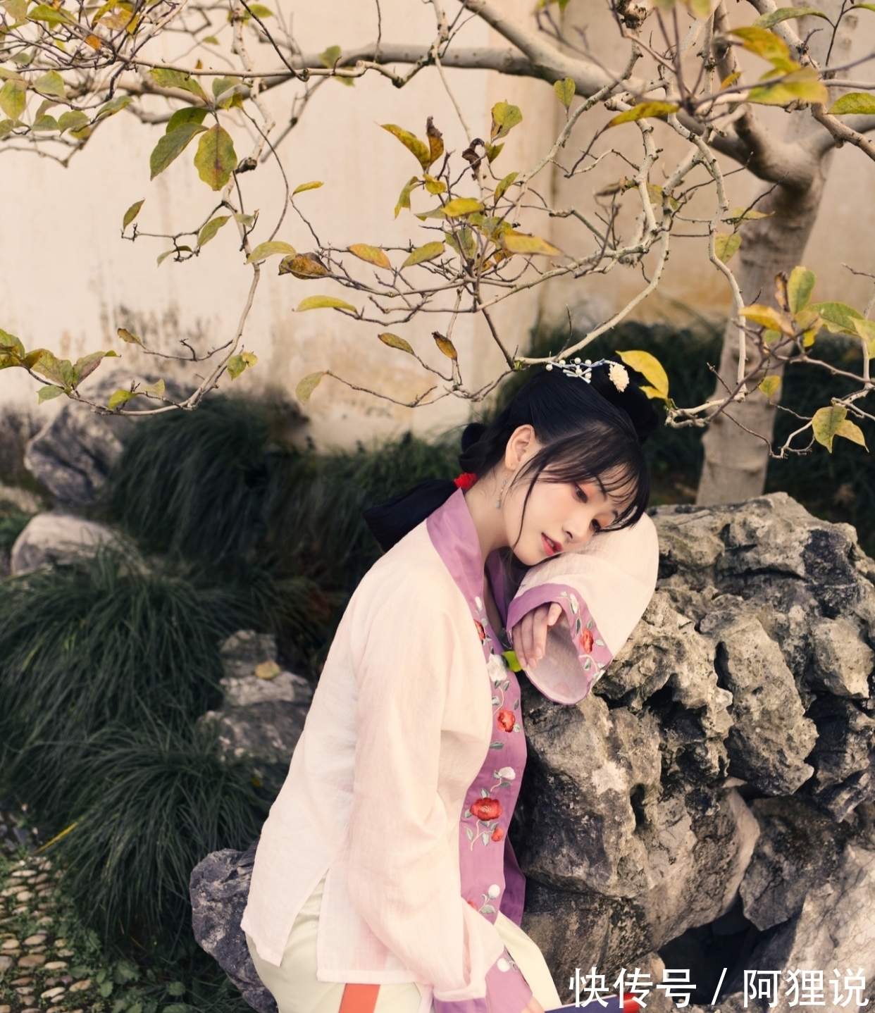 肺茶&诗·十五首丨贪杯常寄归乡客,谁解霜丛一地黄?