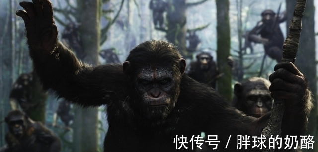 冷门|12个冷门小知识，快进来看看呀