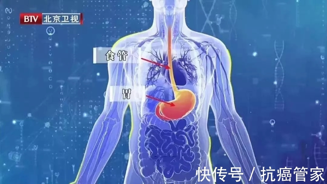 膀胱|多个器官的“第一道防线”告急!一旦受损,炎症、癌症通通可能上门!