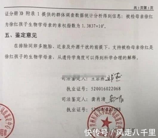 鉴定结果|产妇被告知生下男婴，七小时后变成女婴，鉴定结果出来了！