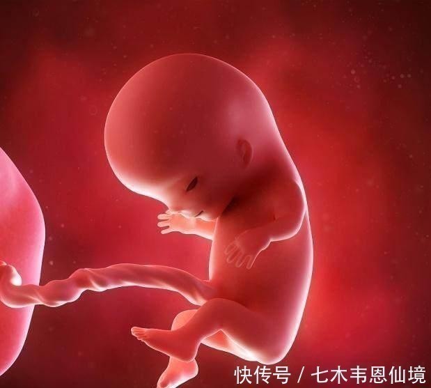 小家伙|四维做到一半,小家伙竟然在妈妈腹中干“坏事”,连医生都乐了