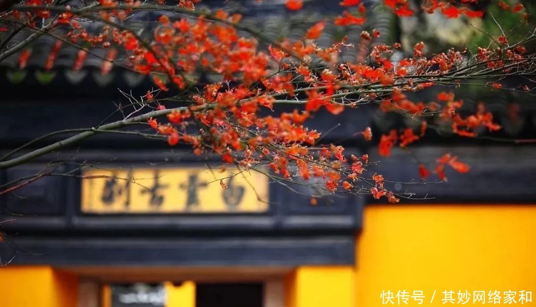 曾国藩240个子孙,无一个败家子,就凭这5句话