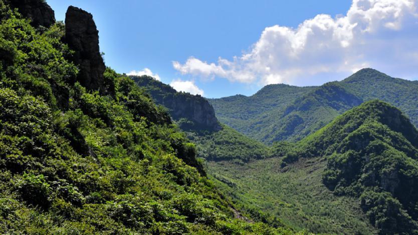知我者#"我见青山多妩媚,料青山见我应如是",61岁辛弃疾的辛酸,谁懂