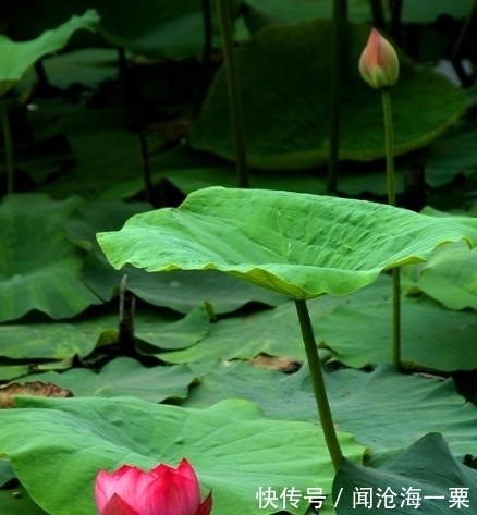 土生金生财局|到了10月，喜鹊报喜，4属相财富如雨，生活顺心，日子越来越红火