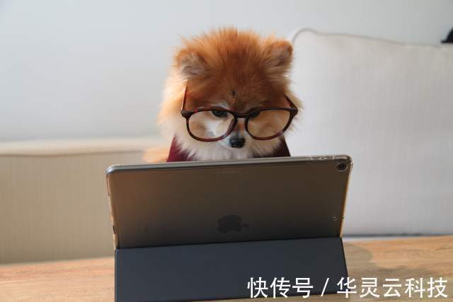 iMile跨境物流分享|掘金沙特，离无纸化支付还有多远 | 支付