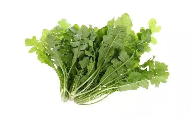 蒲公英|40岁左右女性,脖子上常发现“结节”,了解下五种“天然散结药”