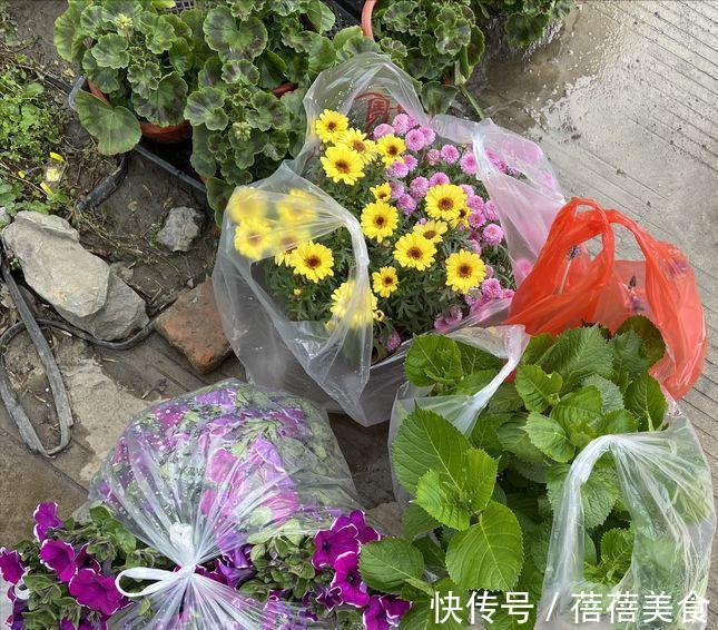 养花的“旧土”加点“废物”,又肥的流油,养花一级棒