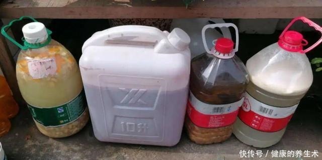 不敢用淘米水了，浇完花就死，土里都是虫！不敢用淘米水了，浇完花就死，土里都是虫！