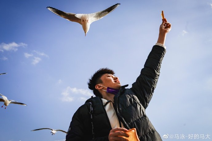 晒照|马泳晒照：我与旧事归于尽，新年依旧迎花开