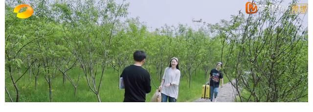 刘胜瑛|《向往5》即将收官为何大家还在“制作木屋”?背后原因很暖心