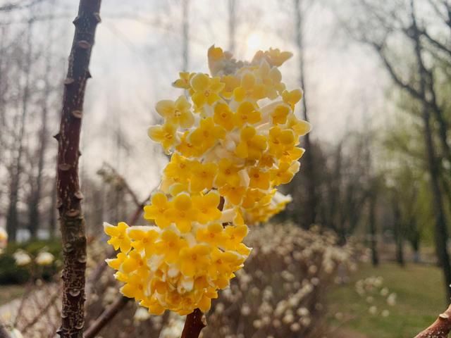 春暖花开 万物复苏 阳春三月 一个绿色的季节！