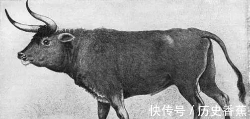 果冻|世界上的47个冷知识,您知道几个?