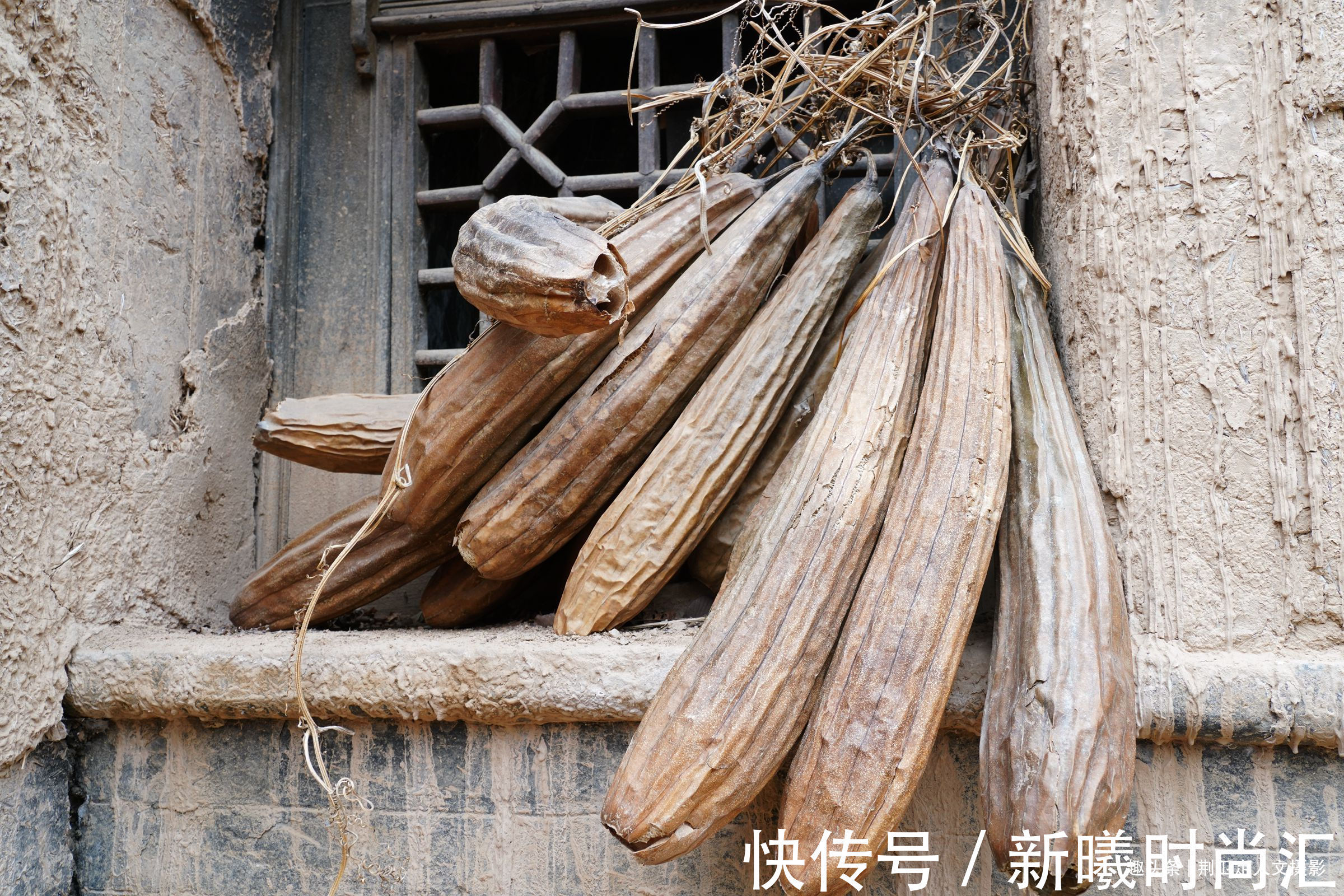 举人!300年举人老宅藏有密室暗道,农民大叔不曾使用,落下后悔事