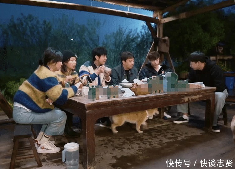 陈赫 《向往5》小算盘落空,杨紫离开节目后,老友记播放次数直线下降