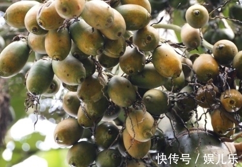 少吃|你知道这5种水果要少吃吗?容易短命,不想短命再爱吃也要戒除