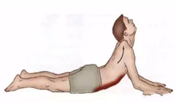 腹外斜肌|你要的拉筋，都在这里！