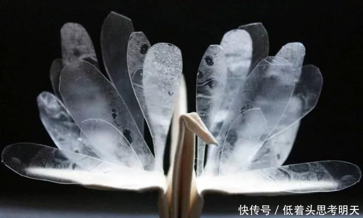 重样|每天折一只千纸鹤,他坚持了1000天不重样,女友被感动到梨花带雨