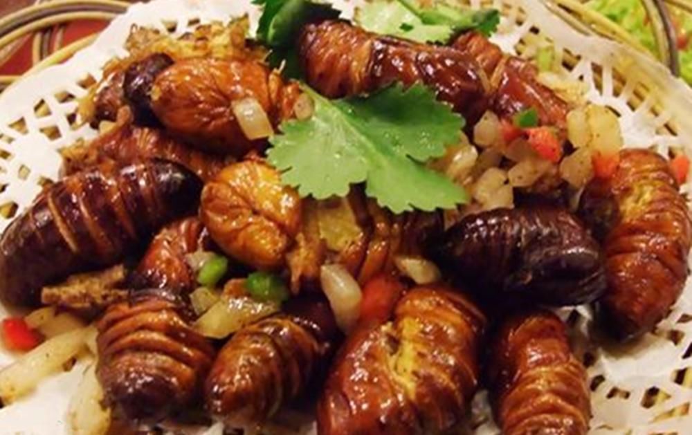 越来越|什么是知了猴?常吃有哪些危害?不怕和你说实话,看完再吃也不晚