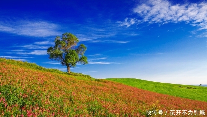 新疆风景｜江布拉克——随便打开一张都是电脑桌面