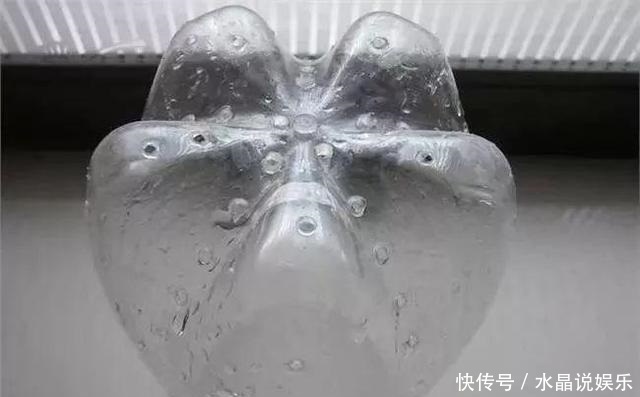 生根|矿泉水瓶有“大作用”,10个“用法”最经典,可以种豆芽、养花