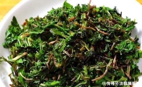 营养|入夏后黄瓜生菜靠边站,多吃它不用花一分钱,去火润喉,营养丰富