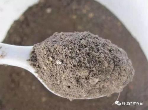 花草养不活，放点香蕉皮，打鸡血一样疯长！