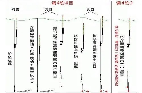 调漂|这样调漂，每一口都清楚有效，大小鲤鱼狂上钩！