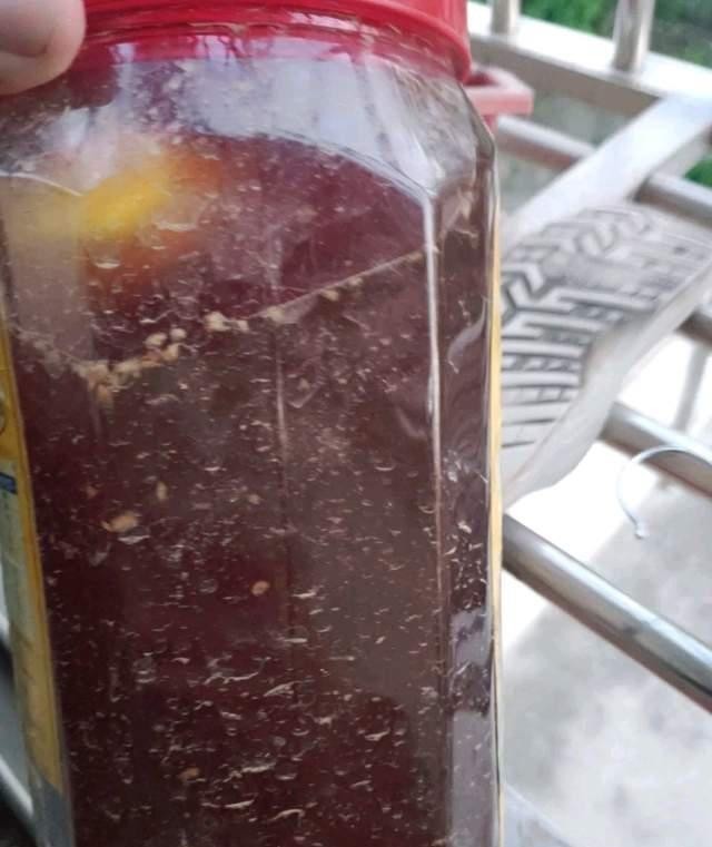 发酵淘米水臭气熏天,里面加点小东西,发酵快没异味,养花真棒