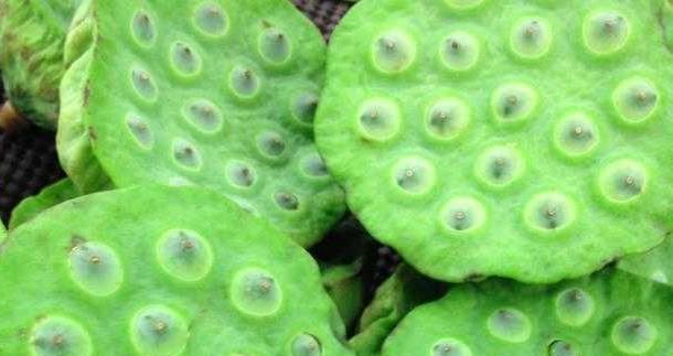 女性到了中年，多吃的食物，润肤养颜，护肤养颜，排出体内毒素