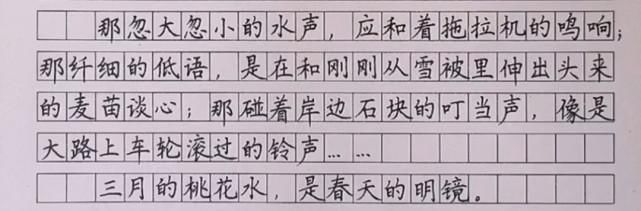 家长晒四年级学霸的抄写作业，字迹堪比“教科书”，老师赞叹不已