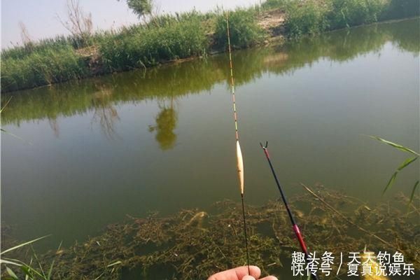 空枪|手竿钓鲤鱼的调漂要点,“空枪”太多,一定要试试这些调漂方法