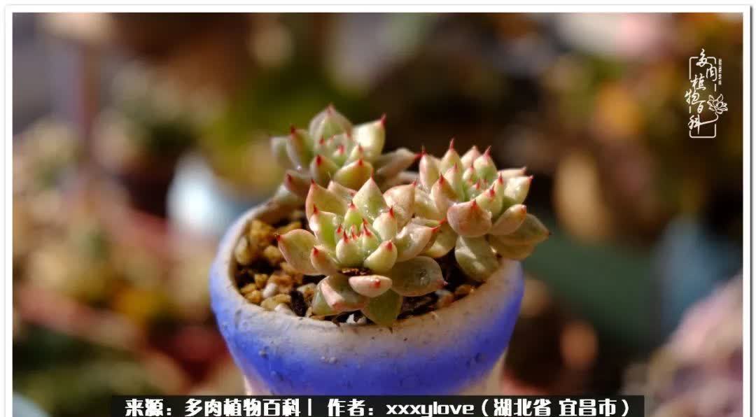 时光匆匆,一闪而逝,这世间万物的美,都值得被记录!