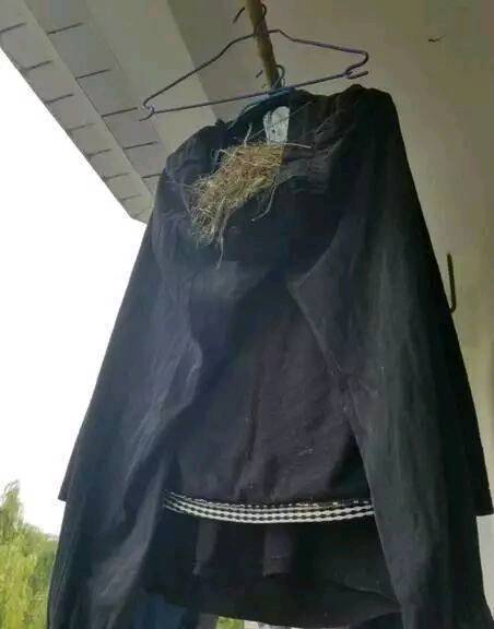 |搞笑图片幽默段子笑话哈哈,看它不是很想出笼子,干嘛强迫呢