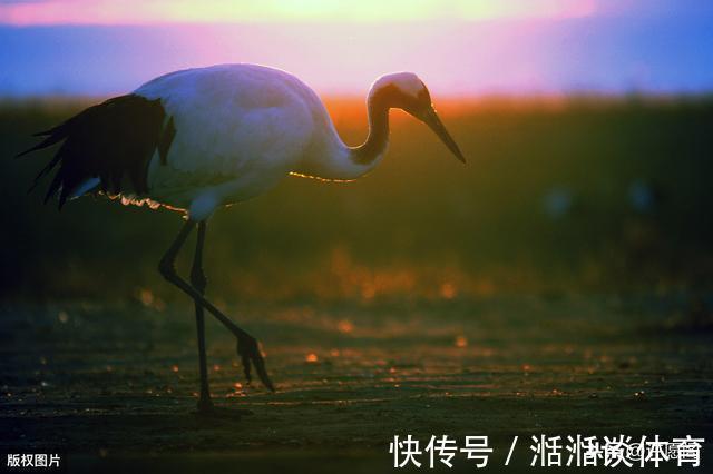 失眠|60岁以后，5件事不得不怕、不得不防！记住，并转告给老友们