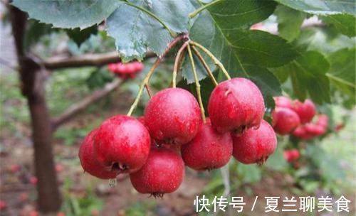 山楂|糖尿病人可以吃的几种水果，补充维生素，血糖可能会降下来