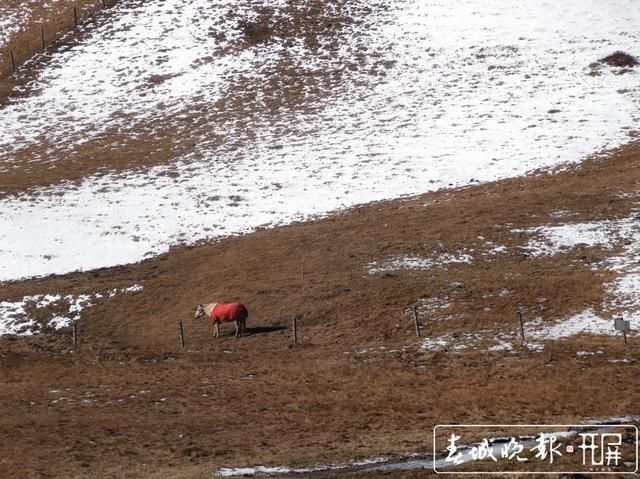 会泽草山：一个能尽情赏雪、玩雪的地方