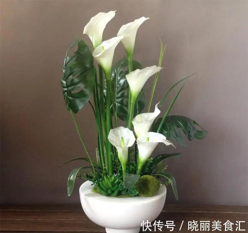 厨房摆上这几种花,乌烟瘴气不再有,越养越喜欢