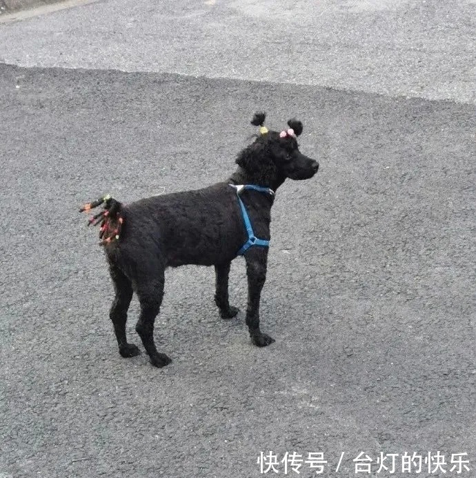 |今日段子：王者健康系统，遭遇史诗级加强后的男初中生！