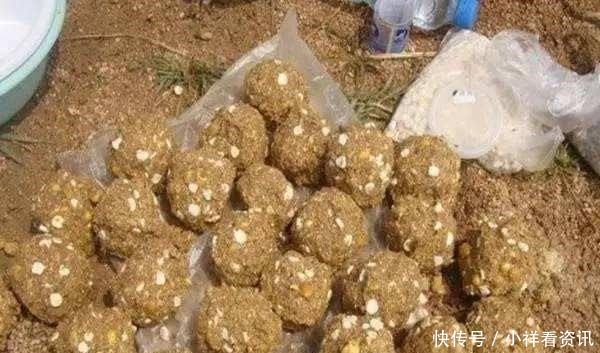 自制|鲫鱼最爱吃的饵料不在渔具店,而在菜市场,这三样东西混合就可以