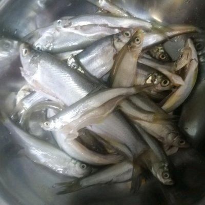 油炸|好吃到飞起的油炸白条鱼，这样做0失败