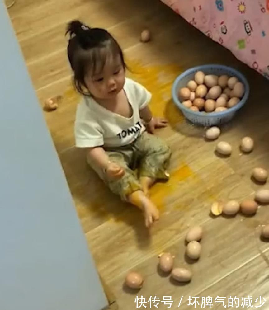 樱桃番茄|最会造的宝宝,妈妈看了哭笑不得,网友:拆家技术,跟二哈有一拼
