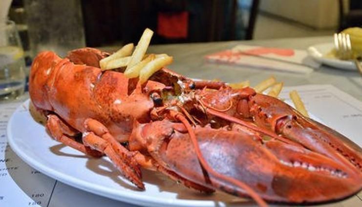 切开|男子上拼多多买“大虾”,5只花了399元,切开后:这肉认真的?