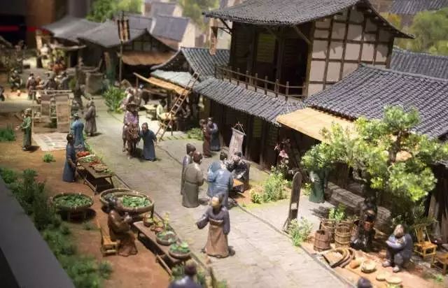 成都|花香氤氲古少城,牡丹灿烂新锦城