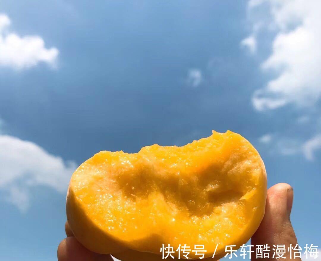 夏橙|建议不管有钱没钱,8月别错过这五种水果,营养美味身体棒