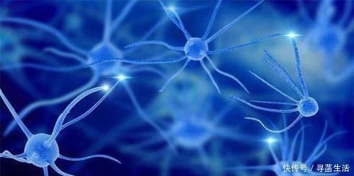 健康长寿|长寿的老人有这五种习惯,老人尽早学起来,也能长寿!