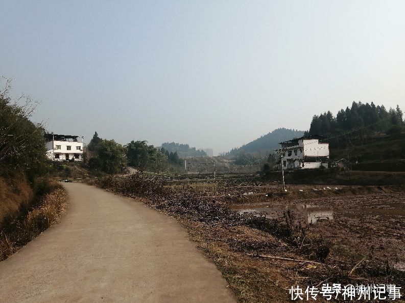 乡村冬闲田，一道靓丽的风景！